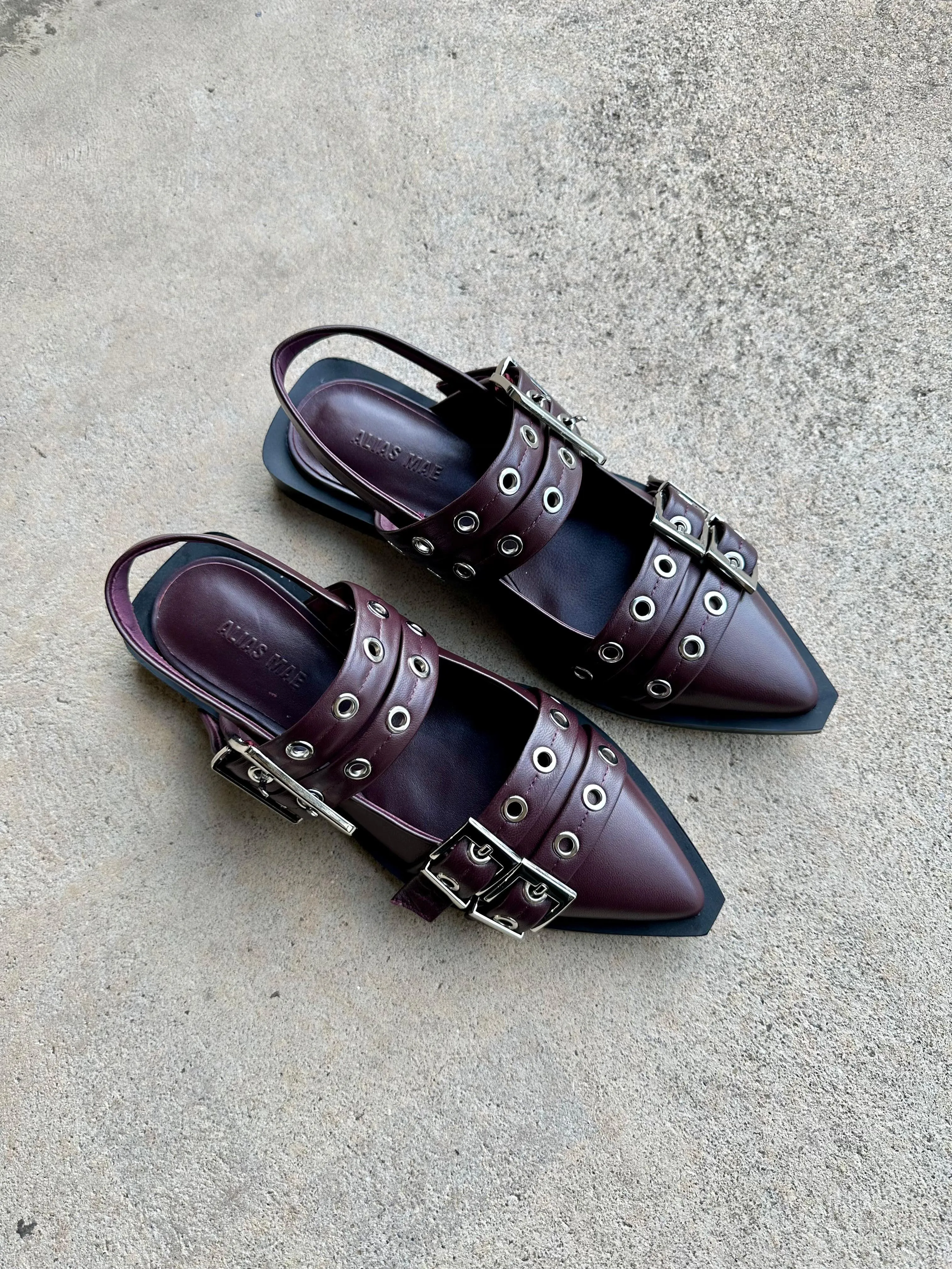 Alias Mae Zina Buckle Flats in Burgandy Leather