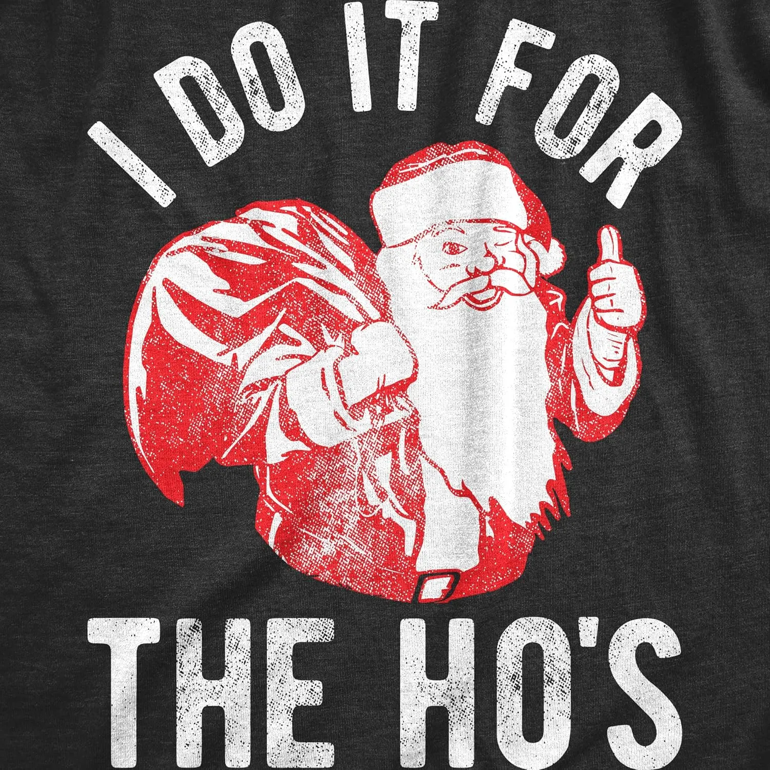 Crazy Dog Mens T Shirt I Do It for The Hos Santa Claus Funny Christmas Party Tee