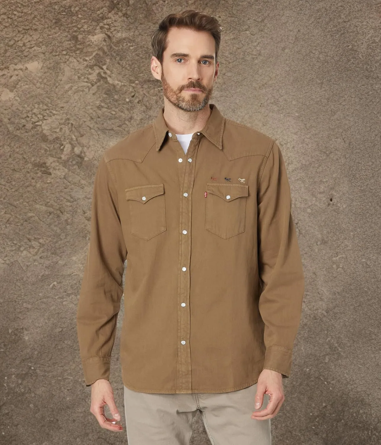 Levi's Men's Classic Western Shirt (Also Available in Big & Tall)